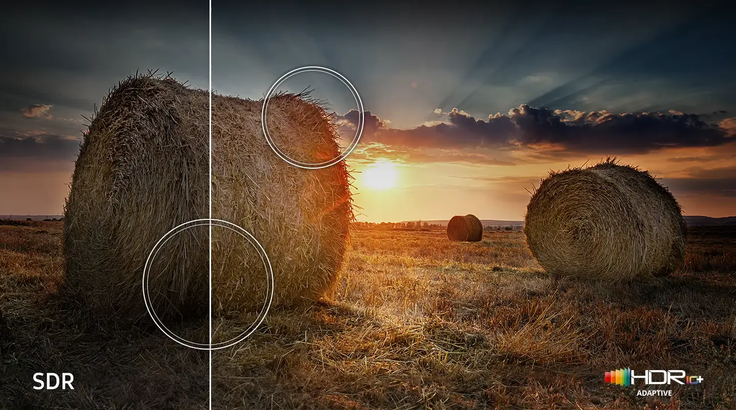 Dlaczego TV QLED? Odkrywamy magię technologii Quantum Dot w świecie telewizorów